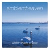 Ambient Heaven - Whiter Shade Of Pale, 2011