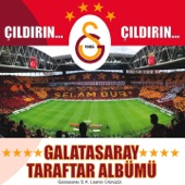 Çıldırın Çıldırın (Aslanlar Sahada) artwork