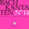 J.S. Bach: Cantatas, Vol. 14