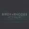 Let It All Go - Birdy & RHODES lyrics