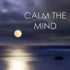 Calm the Mind - Cultivate Positive Energy, Relax Your Body, Manage Fear and Worry, Music for Anxiety Relief album lyrics, reviews, download