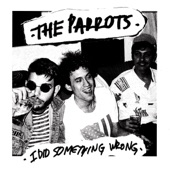 The Parrots - I Did Something Wrong