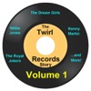 Twirl Records Story Volume 1, 2010