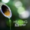 Green Tea - Sounds of Nature - Healing Massage Music lyrics