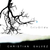 Crisalido (feat. Andrés Perez, Felix Lecaros & Marcelo Cordova) artwork