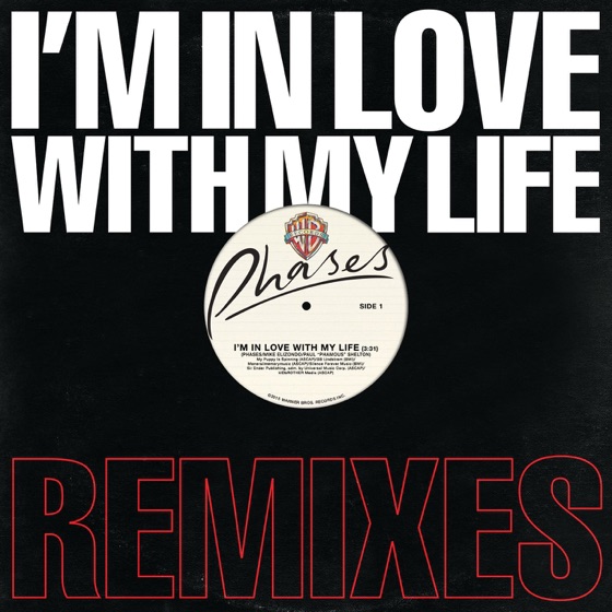 Cover artwork for I'm In Love With My Life (Mystery Skulls Remix)