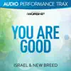 You Are Good (Audio Performance Trax) album lyrics, reviews, download