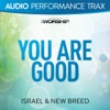 You Are Good (Audio Performance Trax)