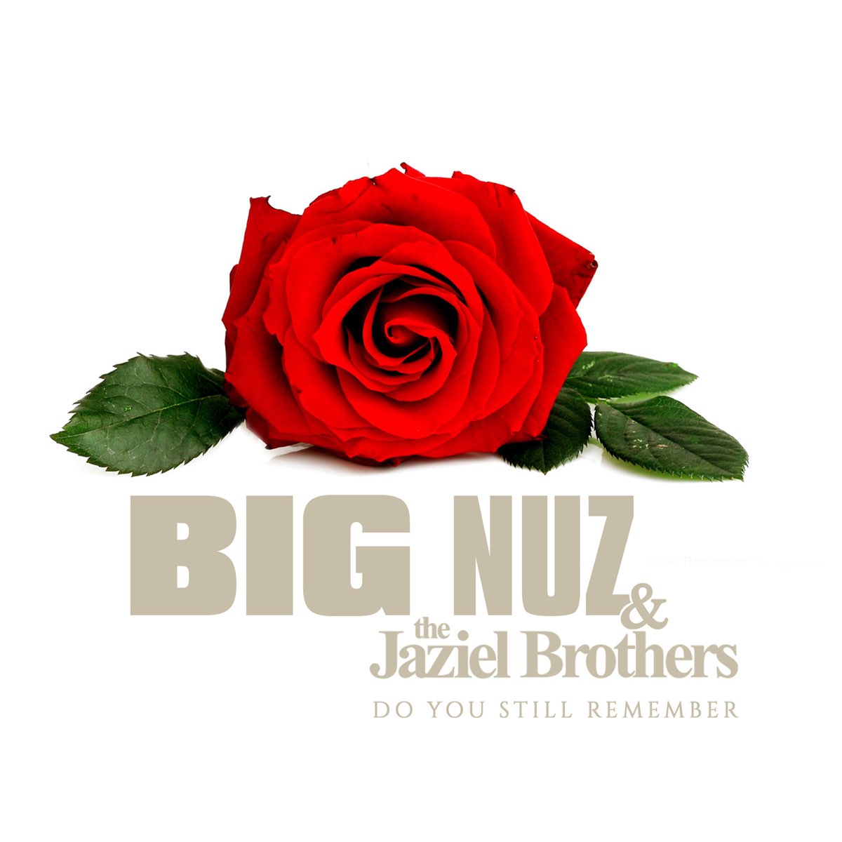 do-you-still-remember-single-by-big-nuz-jaziel-brothers-on-apple-music