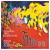 Klavirski Trio Dubrovnik - Trio Za Violinu, Violončelo I Klavir U G-Molu: I. Allegro Maestoso