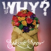 WHY? - January Twenty Something