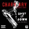 Shut It Down (feat. Sheek Louch) - Chary Ary lyrics
