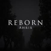 Reborn artwork