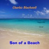 Son of a Beach - Single