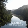 nuCalee - Stiff Upper Lip