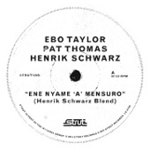 Eye Nyam Nam 'A' Mensuro (Henrik Schwarz Dub) artwork