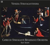 Venezia stravagantissima artwork