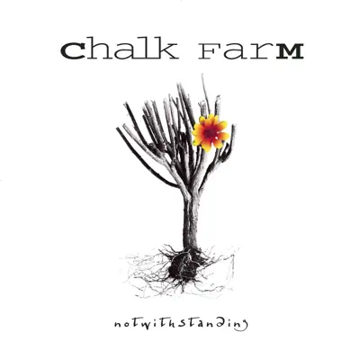 Notwithstanding - Chalk FarM