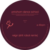 Reign (Shit Robot Remix) artwork
