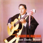 El Jilguero de Huascarán artwork