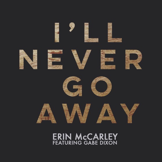Cover artwork for I'll Never Go Away (feat. Gabe Dixon)