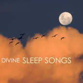 Divine Sleep Songs - 50 Relaxing Tracks to Fall Asleep Quickly - REM Sleep Music artwork