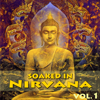 Soaked In Nirvana, Vol.1 - Dune