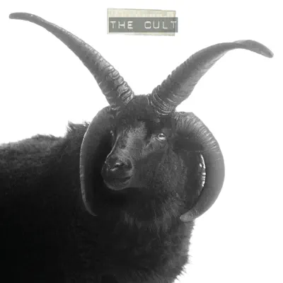 The Cult - The Cult The Cult - The Cult