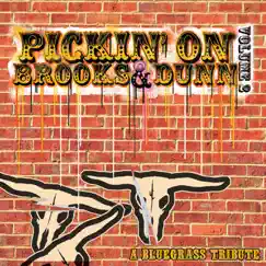 Pickin' On Brooks & Dunn, Vol. 2: A Bluegrass Tribute by Pickin' On Series album reviews, ratings, credits