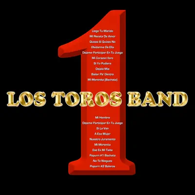 1 - Los Toros Band
