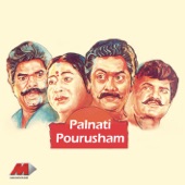 Palnati Pourusham artwork
