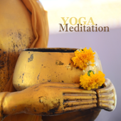 Yoga Meditation - 50 Songs for Meditation Techniques, Mindfulness Deep Meditation Sleep with Soothing Nature Sounds - Deep Relaxation Meditation Academy