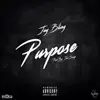 Purpose - Single album lyrics, reviews, download