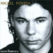 Suena Flamenco - Miguel Poveda