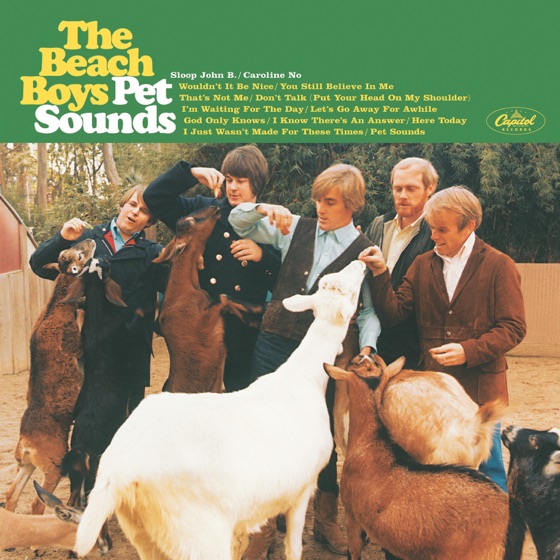 Cover artwork for Pet Sounds