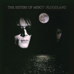 The Sisters of Mercy - Colours