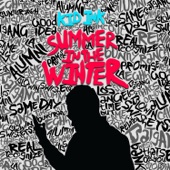 Summer in the Winter cover