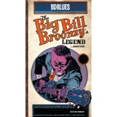 Big Bill Broonzy - Roll Them Bones