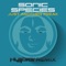 Just Another Freak (Hujaboy Remix) - Sonic Species lyrics