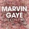 Marvin Gaye - Power Music Workout lyrics