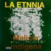 Malicia Indigena