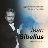 Jean Sibelius: Symfoni No 1 & 7 artwork