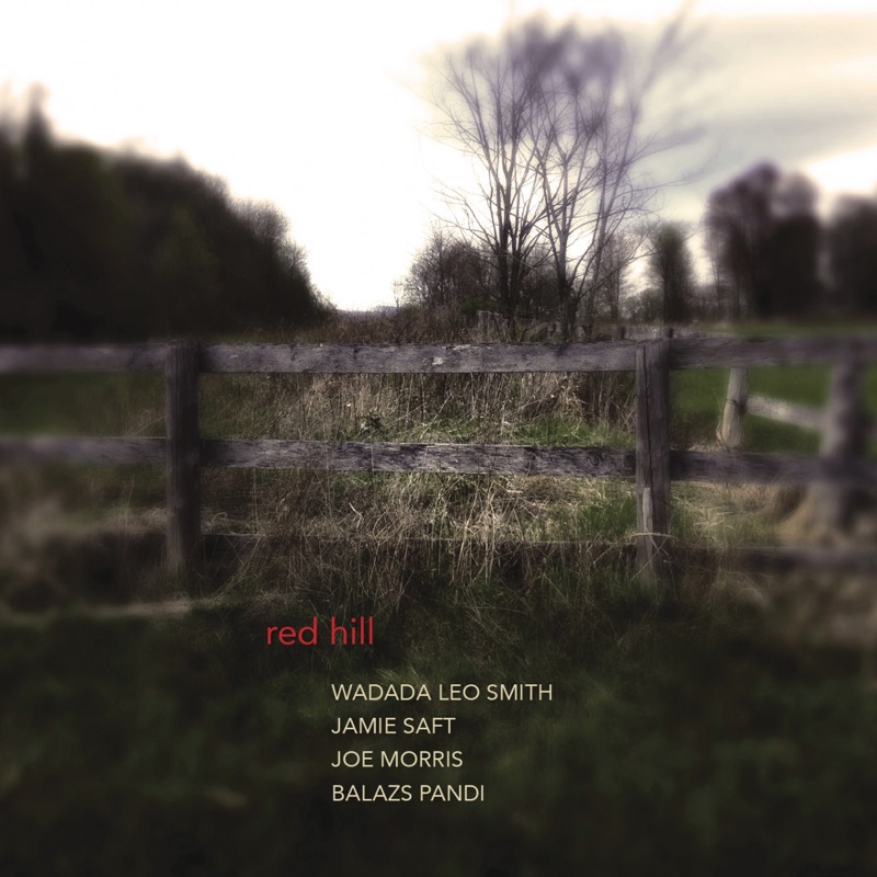 Joe morris flac lossless. Wadada Leo Smith, Jamie Saft, Joe Morris, Balazs Pandi - Red Hill (2014).