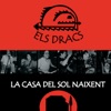 Els Dracs