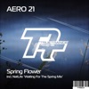 Spring Flower - Single