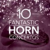 Barry Tuckwell, Iona Brown & Academy of St. Martin in the Fields - Horn Concerto No. 2 in E Flat, K. 417 : 1. Allegro maestoso