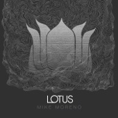 Lotus artwork