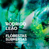 Florestas Submersas - Rodrigo Leão