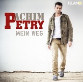 Achim Petry - Deine Liebe ist der Wahnsinn