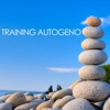 Meditazione - Libera la Tua Mente
